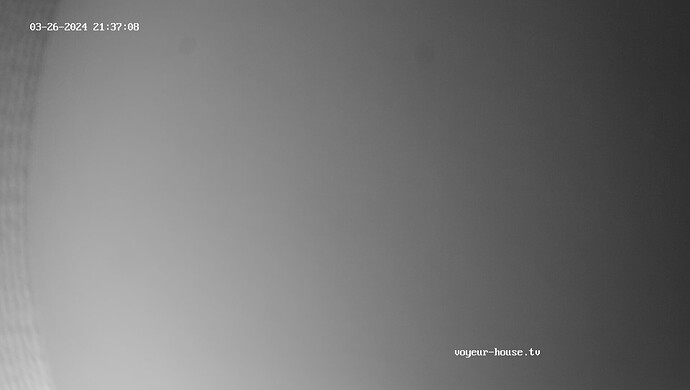 realm67-cam17-1711481493