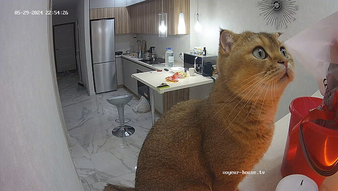 realm33-cam11-1717012516