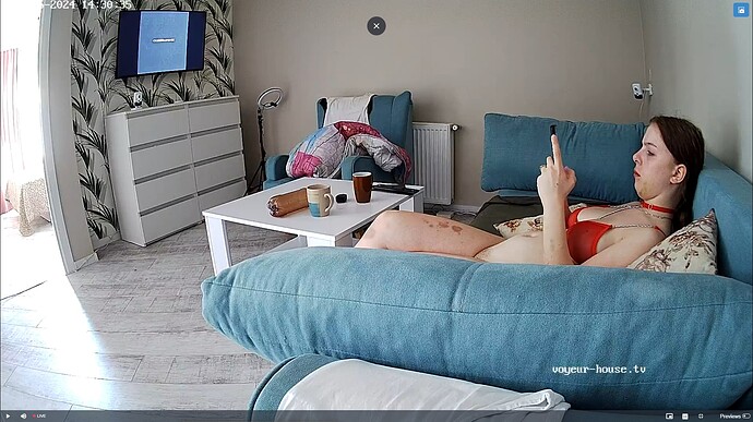 Ashampoo_Snap_dimanche 26 mai 2024_13h31m53s_004_Living room camera at Kristall reallifecam apartment at Voyeur House TV (cam13) - Google Chrome