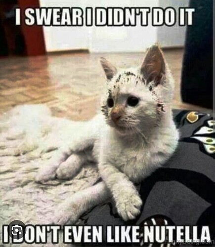 main-qimg-993f1d1dade43354d1b20ac934485c40