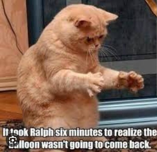 main-qimg-bea7a09bf0d2777149cb5fc8bca5687b