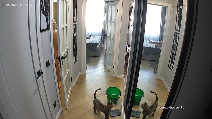 realm94-cam111-1760085918