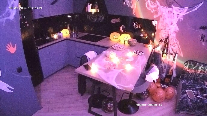 AoraPaladin-20251029-03