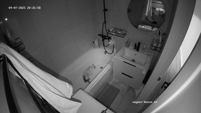 realm67-cam18-1744046885