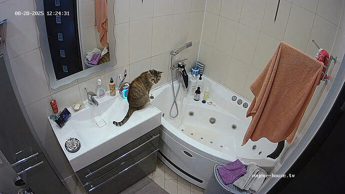 realm64-cam110-1756385086