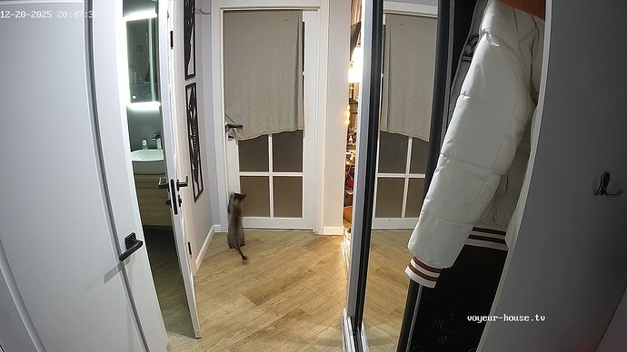 realm94-cam111-1766252897