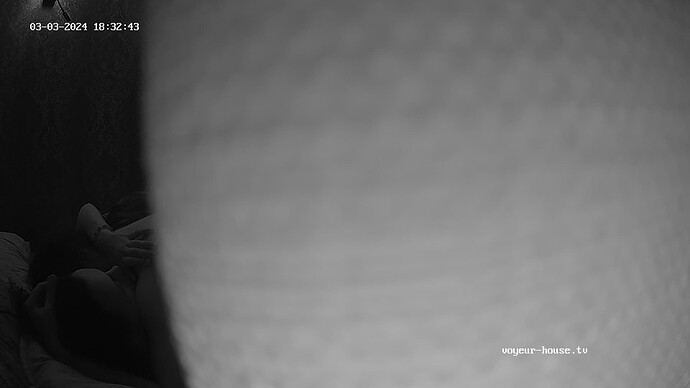 realm44-cam16-1709483597