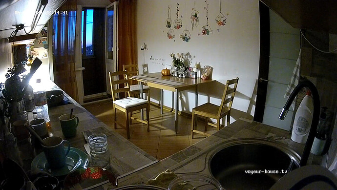 realm37-cam11-1717528505