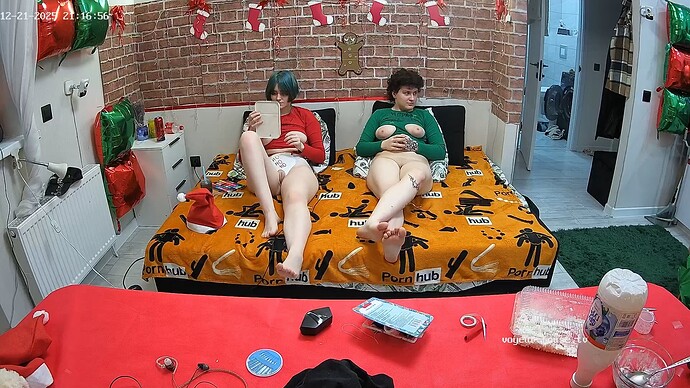 realm5-cam15-1766346037