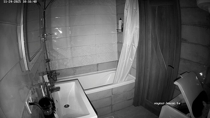 realm124-cam16-1763974165