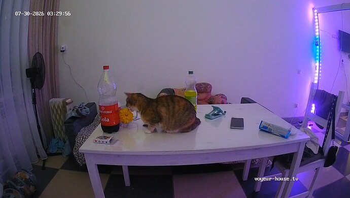 realm64-cam19-1785371430