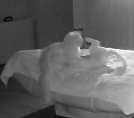 Struggles for the throne 3a