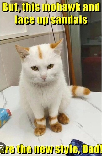 main-qimg-c9bcad78ec43dc7d21d8ae2e0b8edfeb