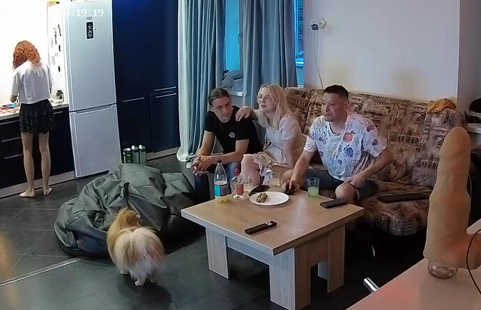 Screenshot 2023-08-11 at 14-15-36 Living room camera at Henry reallifecam apartment at Voyeur House TV (cam15)