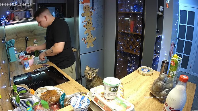 realm94-cam12-1767709389 (1)