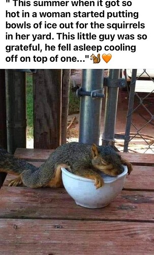 main-qimg-510c3b32ac67d381fbe397a388e2ad77