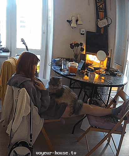 Screenshot 2023-06-02 at 22-14-44 Guest bedroom camera at Sophia Elon Claudia reallifecam apartment at Voyeur House TV (cam110)