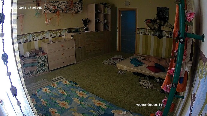 realm55-cam18-1731677223