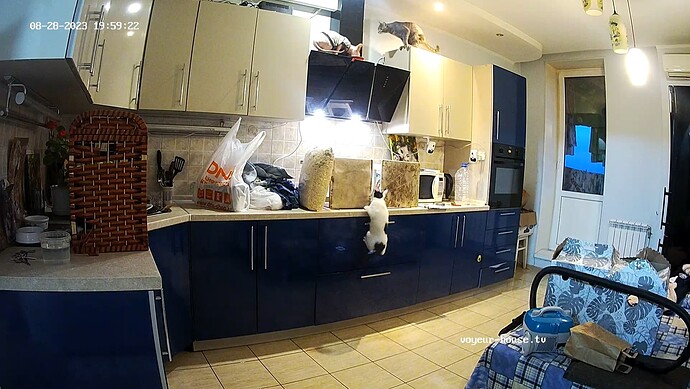 realm60-cam14-1693254107