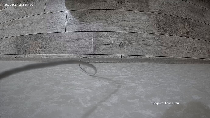 realm126-cam18-1765046552