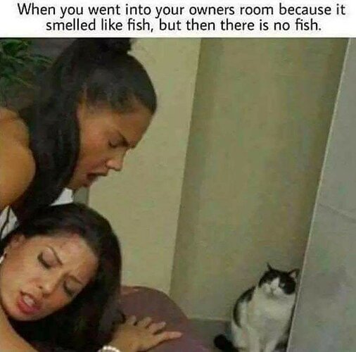 F19H5sEXoAEmMSO