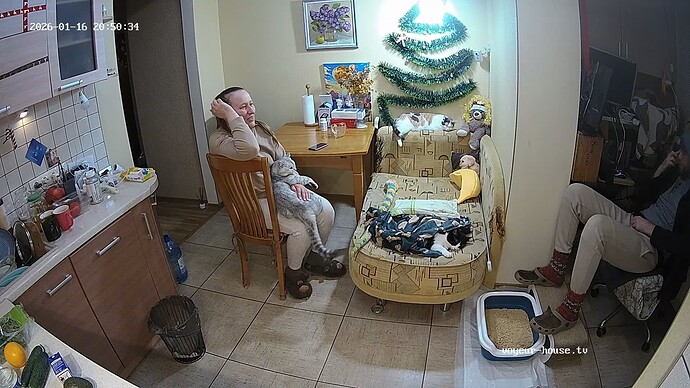 realm34-cam12-1768589474