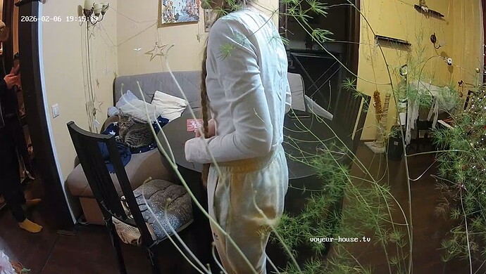 realm7-cam15-1770395032