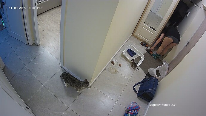 realm10-cam19-1762623659