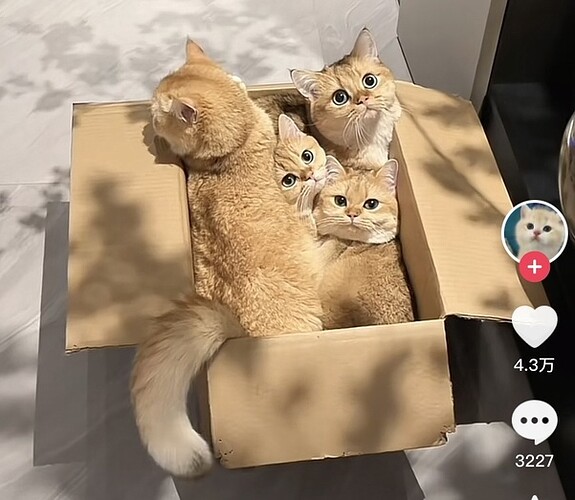 main-qimg-e6cc1ca77c29f57566f07400f5b22caf