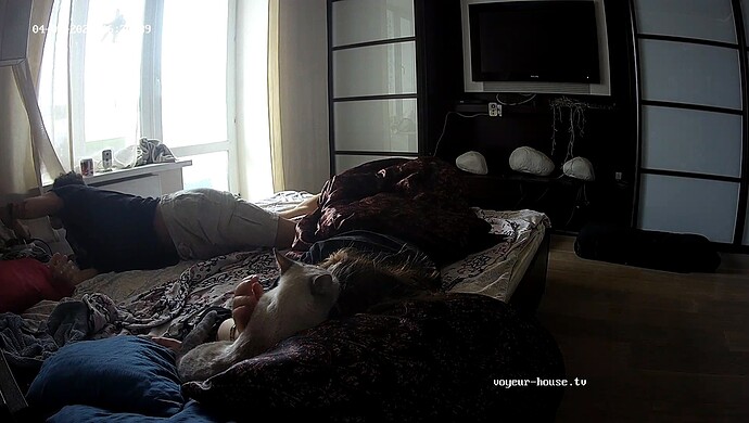 realm55-cam111-1743589463