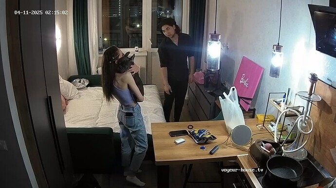 Ashampoo_Snap_vendredi 11 avril 2025_1h15m41s_002_Living room camera at Swera reallifecam apartment at Voyeur House TV (cam13) - Google Chrome