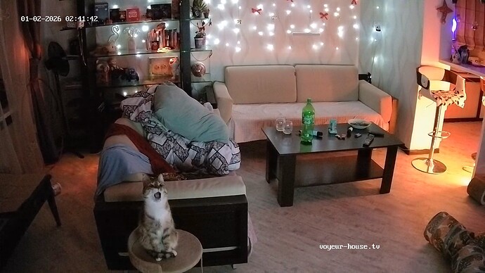 realm64-cam14-1767310951