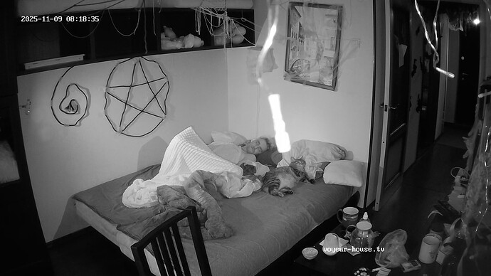 realm7-cam17-1762666306