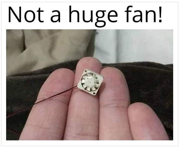 FB_IMG_1698372383585