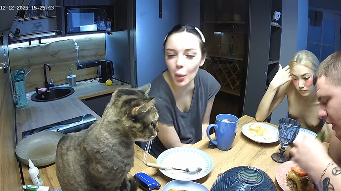 realm94-cam12-1765542382