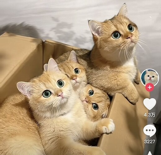 main-qimg-f064b5f2bce23e79a71c91ded9b79948