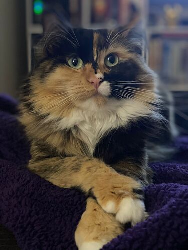 Luna