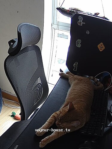 realm44-cam13-1758225665