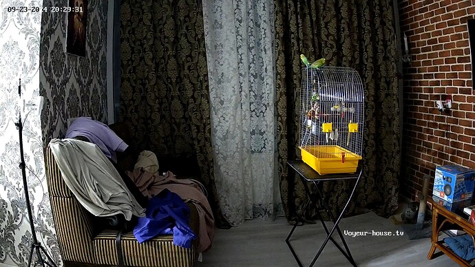 realm8-cam15-1727119869