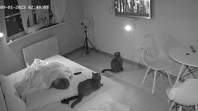 bandicam 2023-09-01 00-49-49-373