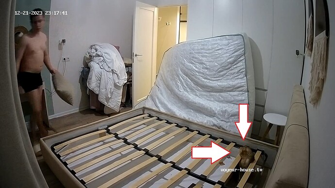 did Aderyn see the cat