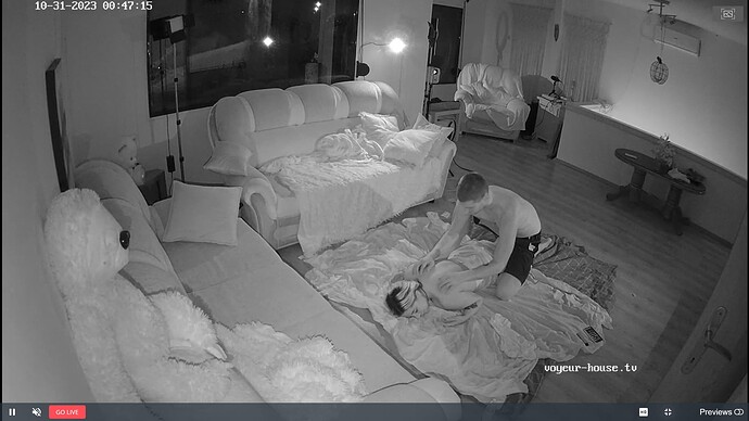 Noldus 2023-10-30 23-56-19-735