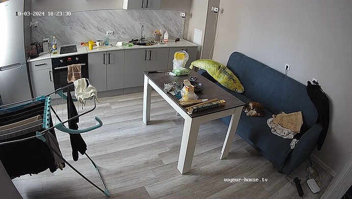 realm48-cam15-1727987753