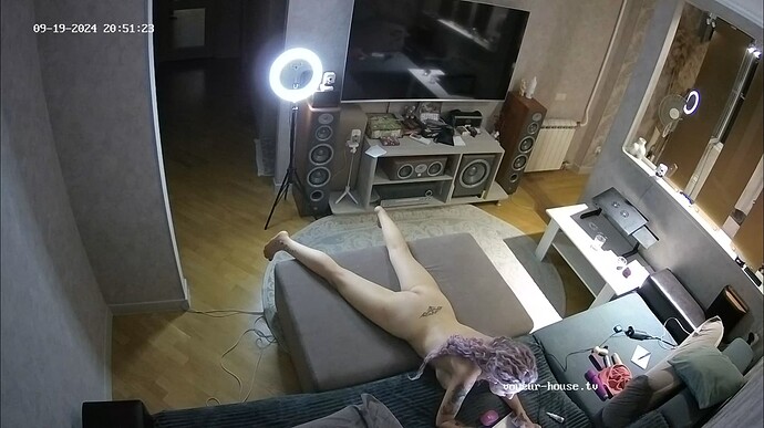 Ashampoo_Snap_jeudi 19 septembre 2024_19h52m2s_009_Living room camera at Teanna & Ronin reallifecam apartment at Voyeur House TV (cam13) - Google Chrome