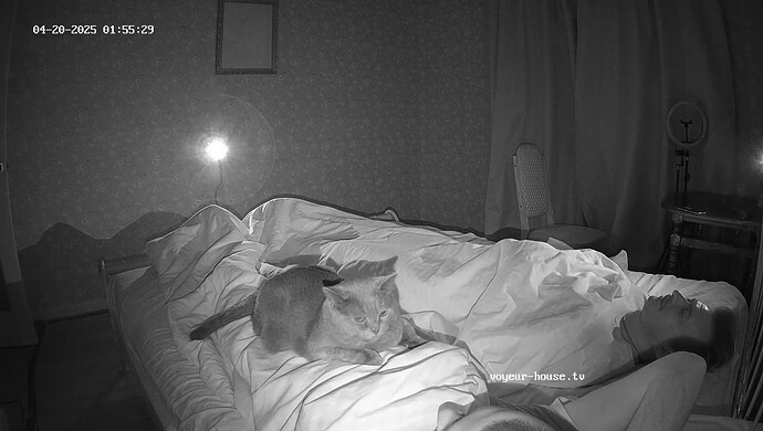 realm8-cam110-1745109558