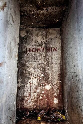 photo_2023-10-10_15-54-53 (2)