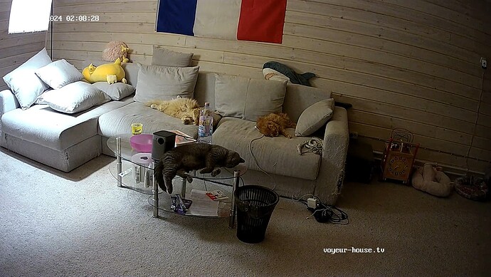 realm83-cam13-1717283345