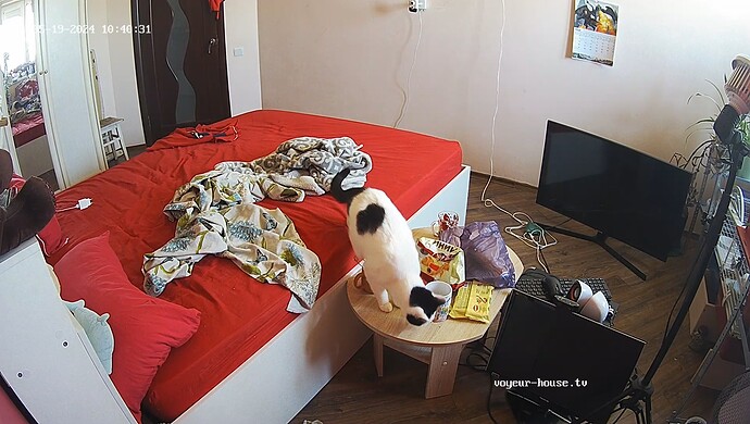 realm60-cam15-1716104940