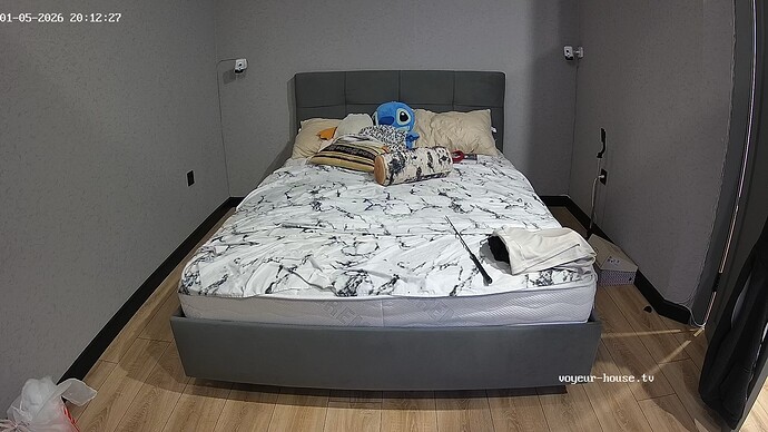 realm42-cam17-1767633179