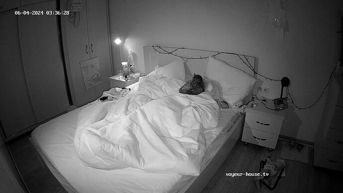 realm98-cam16-1717457819